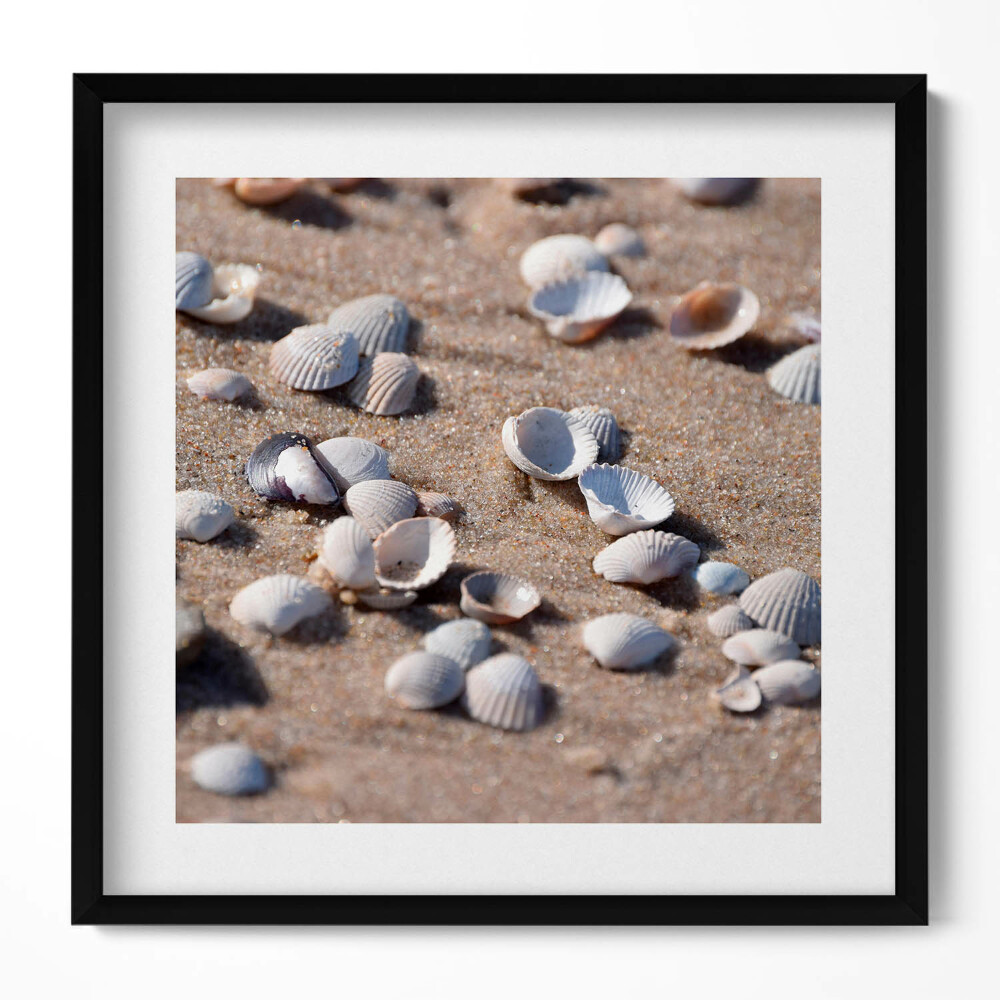 Obraz w drewnianej ramce Muszelki na plaży