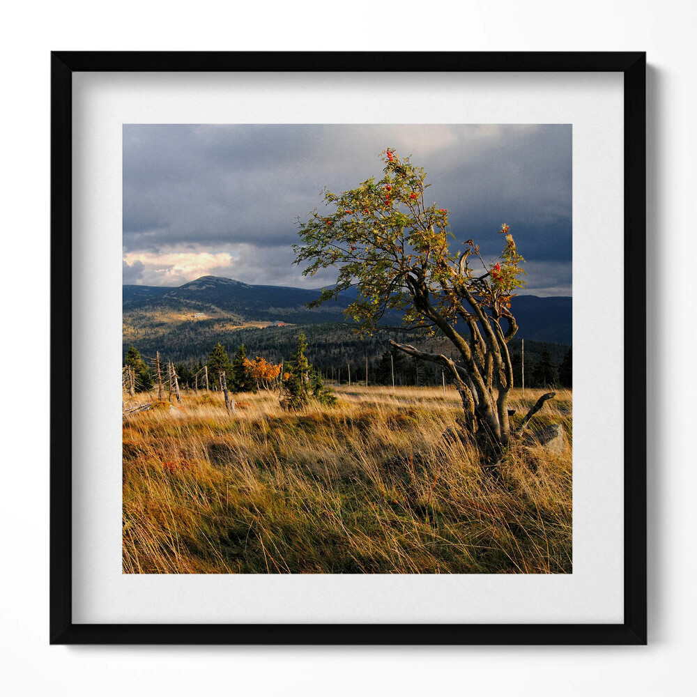 Obraz w drewnianej ramce Karkonosze jesienią