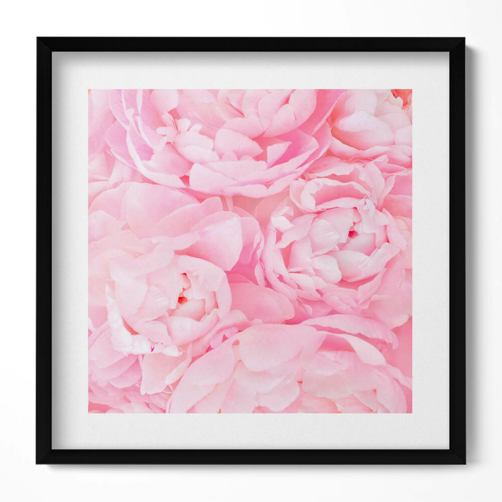 Obraz w drewnianej ramce Kwitnące kwiaty