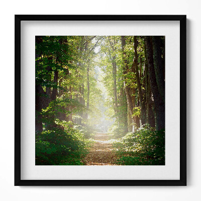 Obraz w drewnianej ramce Leśna droga wśród drzew