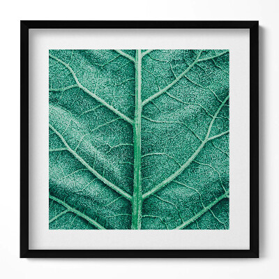 Obraz w drewnianej ramce Zbliżenie na żyłki liścia