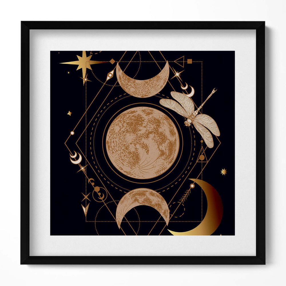 Obraz w drewnianej ramce Magiczna kompozycja kosmosu i ważki