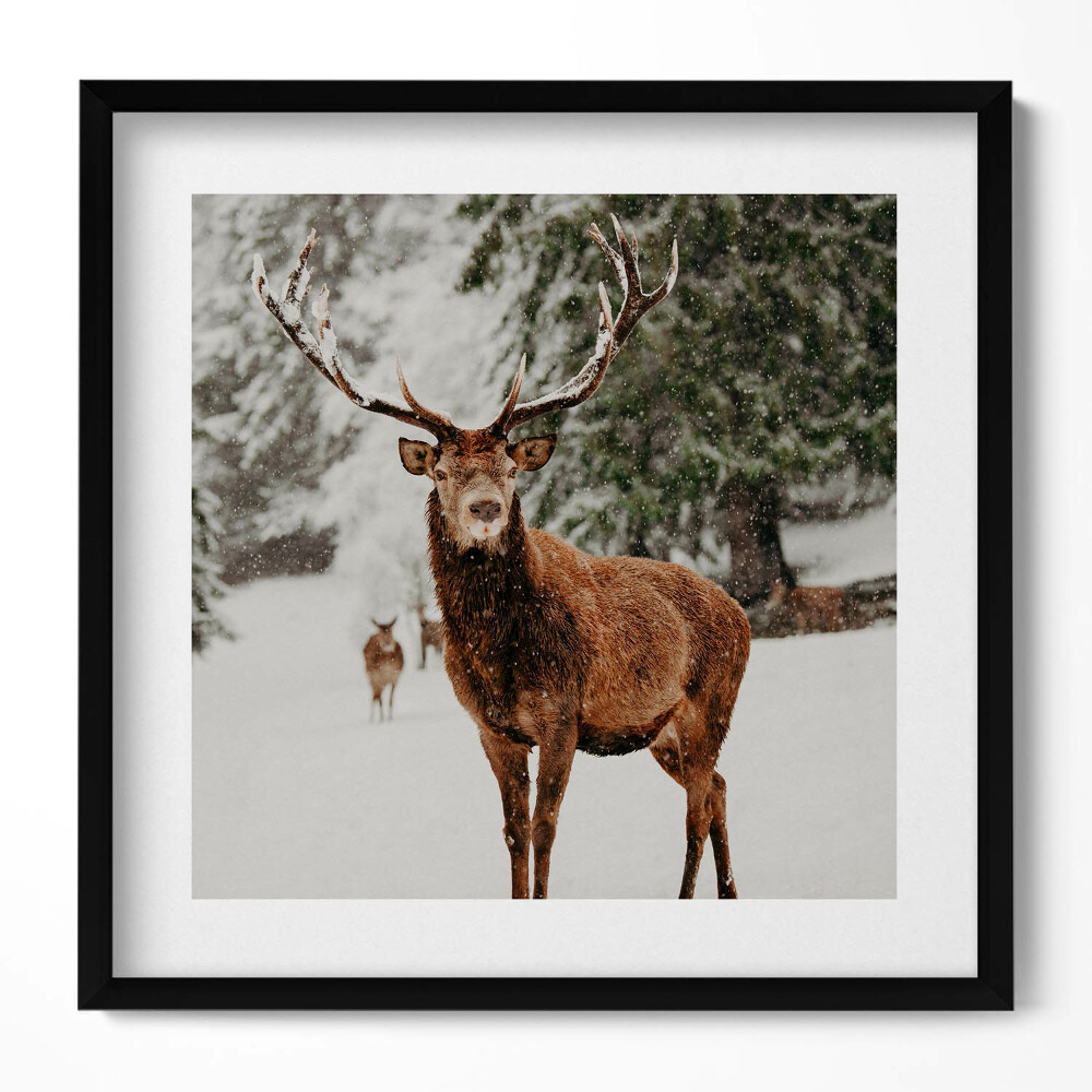 Obraz w drewnianej ramce Jeleń w zimowym lesie