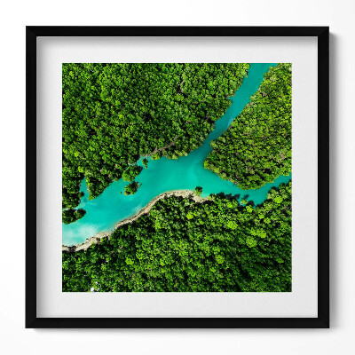 Obraz w drewnianej ramce Rzeka w tropikalnych lasach z lotu ptaka