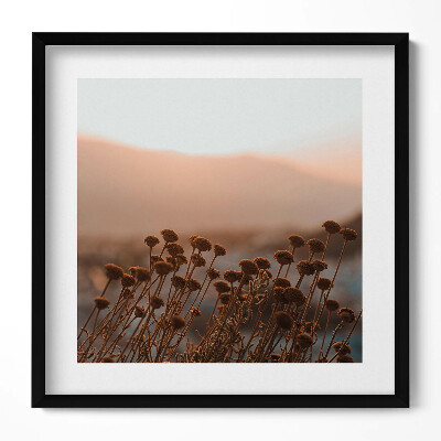 Obraz w drewnianej ramce Boho romantyczny pejzaż traw