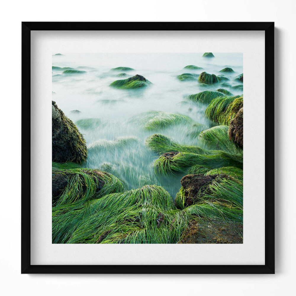 Obraz w drewnianej ramce Trawy na brzegu rzeki