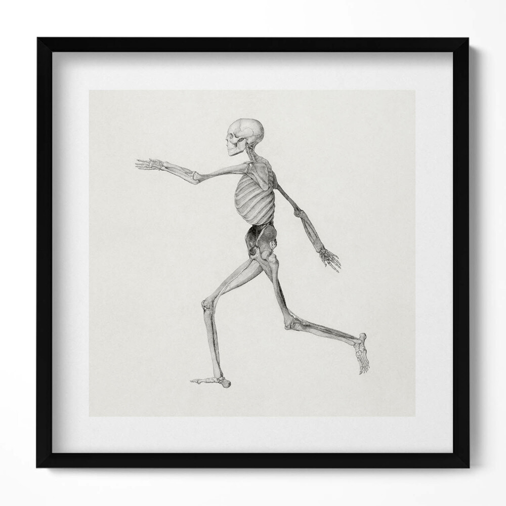 Obraz w drewnianej ramce Rysunek kościotrupa