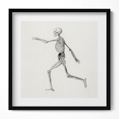 Obraz w drewnianej ramce Rysunek kościotrupa