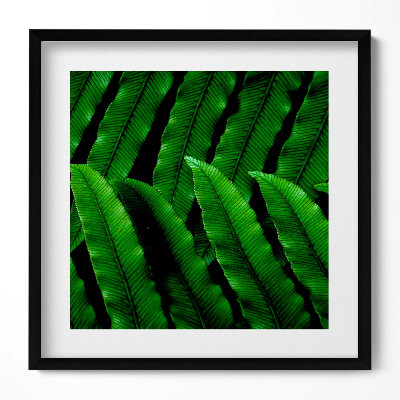 Obraz w drewnianej ramce Zielone liście zbliżenie