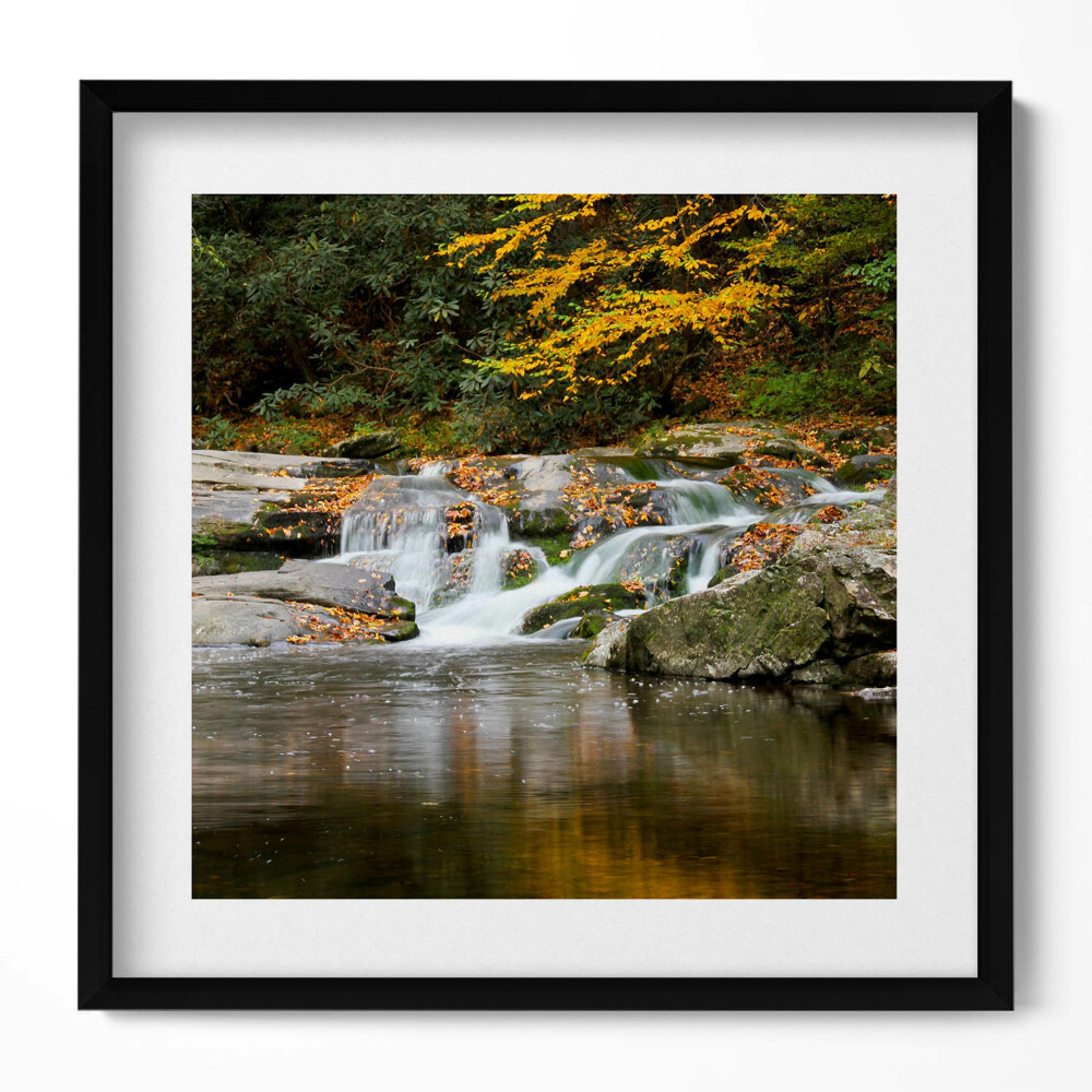 Obraz w drewnianej ramce Zielony pejzaż leśnego strumyka