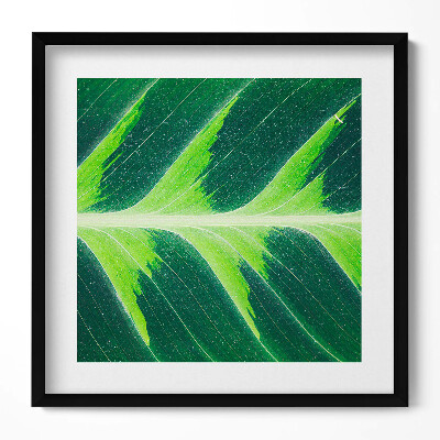 Obraz w drewnianej ramce Faktura i żyłki liścia