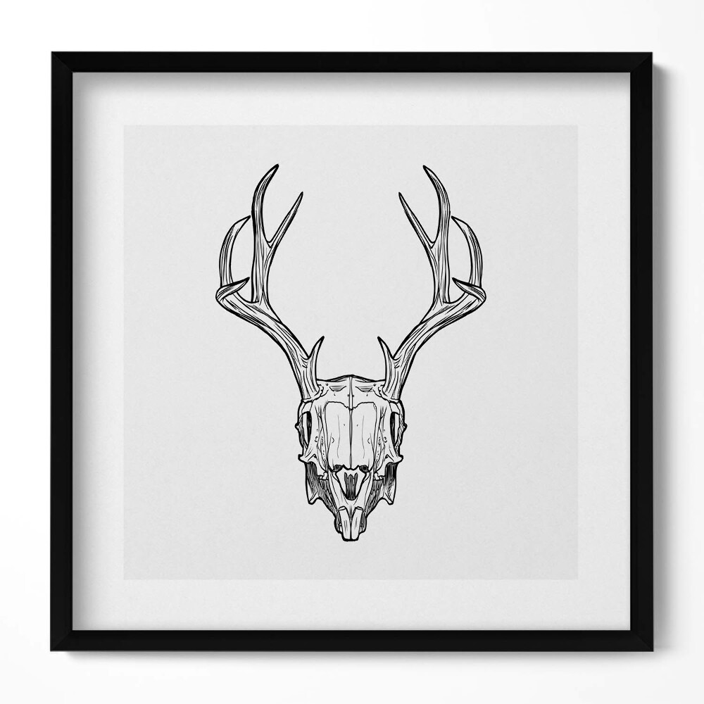 Obraz w drewnianej ramce Czaszka jelenia z rogami szkic