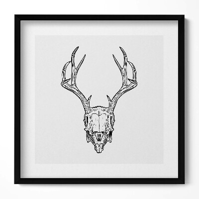 Obraz w drewnianej ramce Czaszka jelenia z rogami szkic
