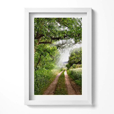 Obraz w ramie Ścieżka, drzewa i promienie słońca