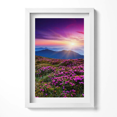 Obraz w ramie Wschód słońca kwiaty