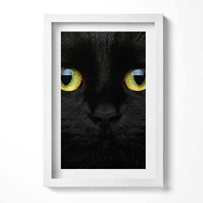 Obraz w ramie Zwierzę kocie oczy