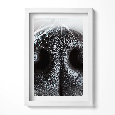 Obraz w ramie Zbliżenie na zwierzęcy nos