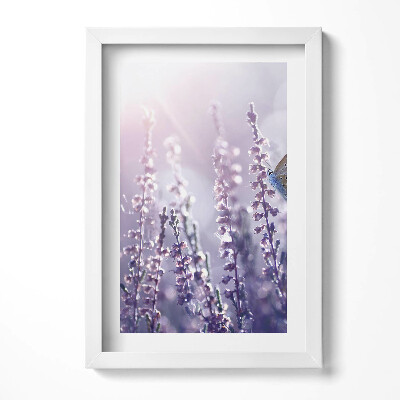 Obraz w ramie Motyl na polnych kwiatach