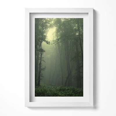 Obraz w ramie Mglisty las o poranku