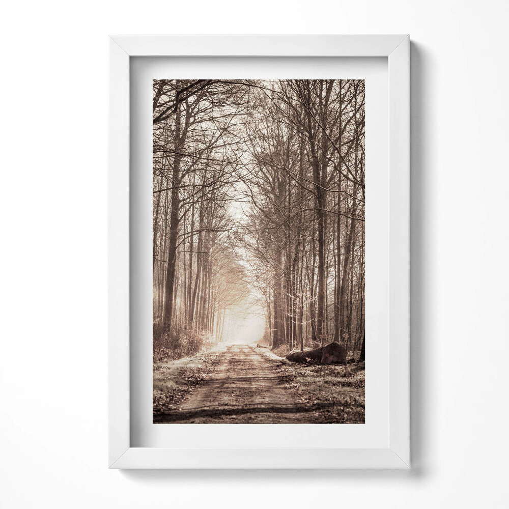 Obraz w ramie Ścieżka leśna w kolorach sepii