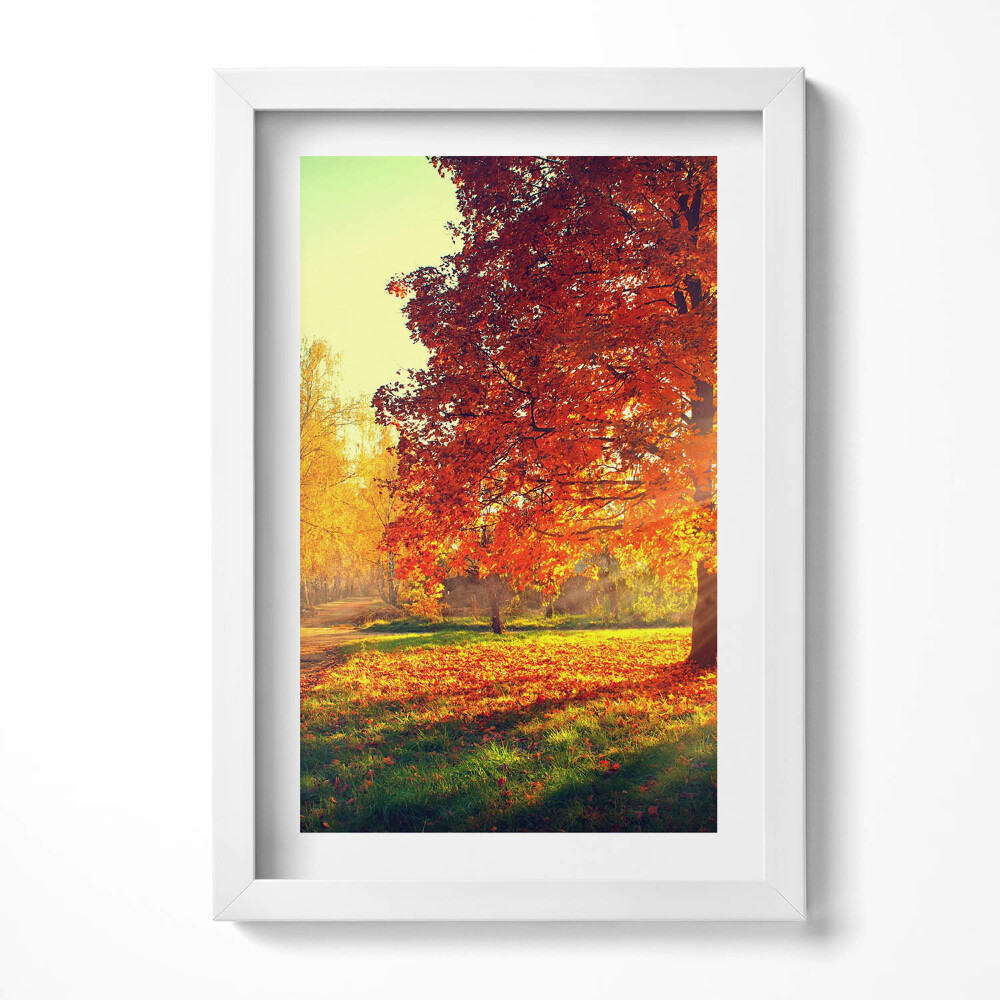 Obraz w ramie Jesienny park