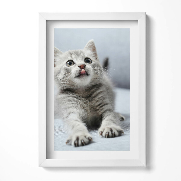 Obraz w ramie Uroczy mały kotek na kanapie