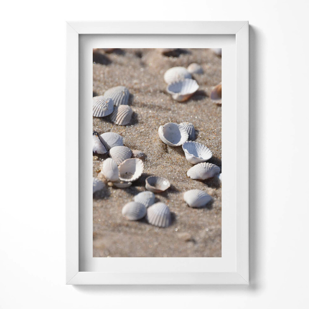 Obraz w ramie Muszelki na plaży