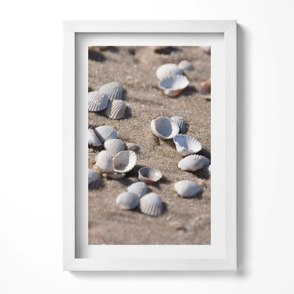Obraz w ramie Muszelki na plaży