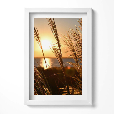 Obraz w ramie Pszenica W Złotej Godzinie