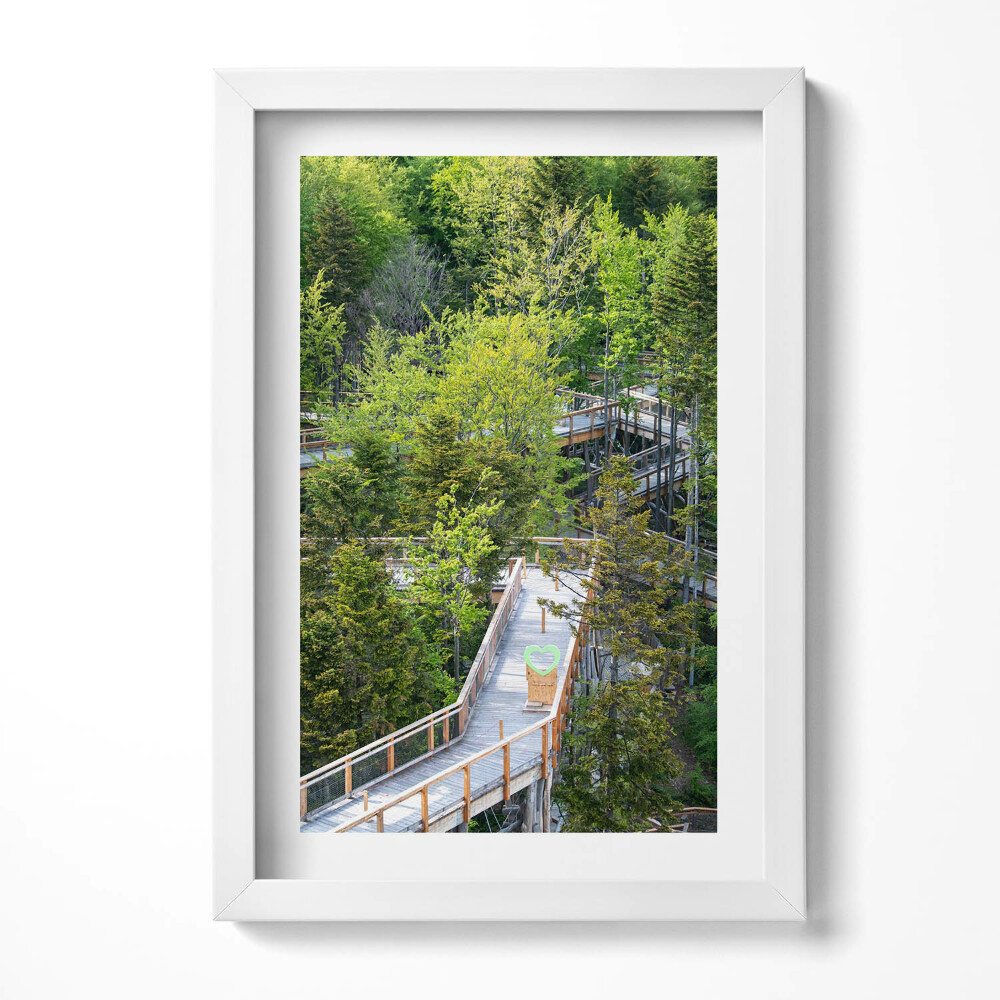 Obraz w ramie Ścieżka w Krynicy Zdroju