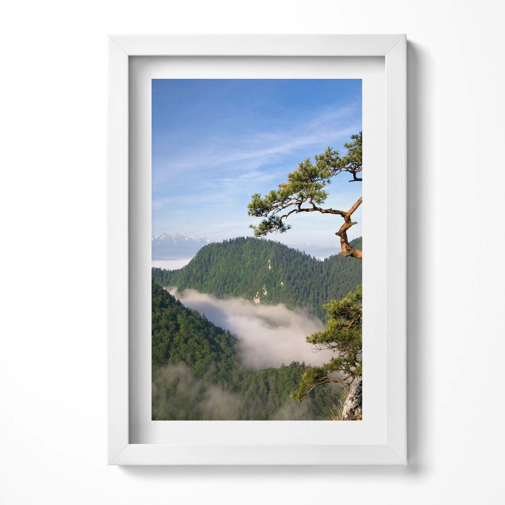 Obraz w ramie Sokolica Wierch w Pieninach