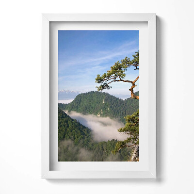 Obraz w ramie Sokolica Wierch w Pieninach