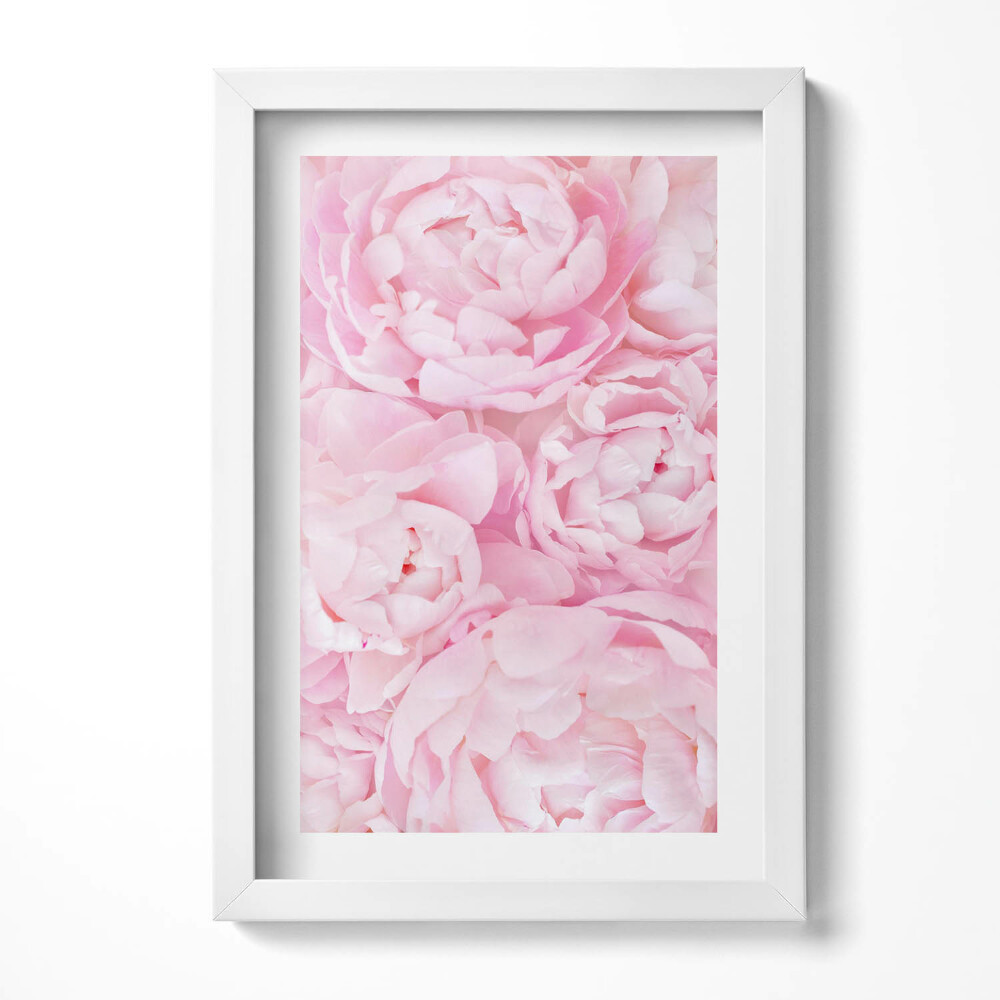 Obraz w ramie Kwitnące kwiaty