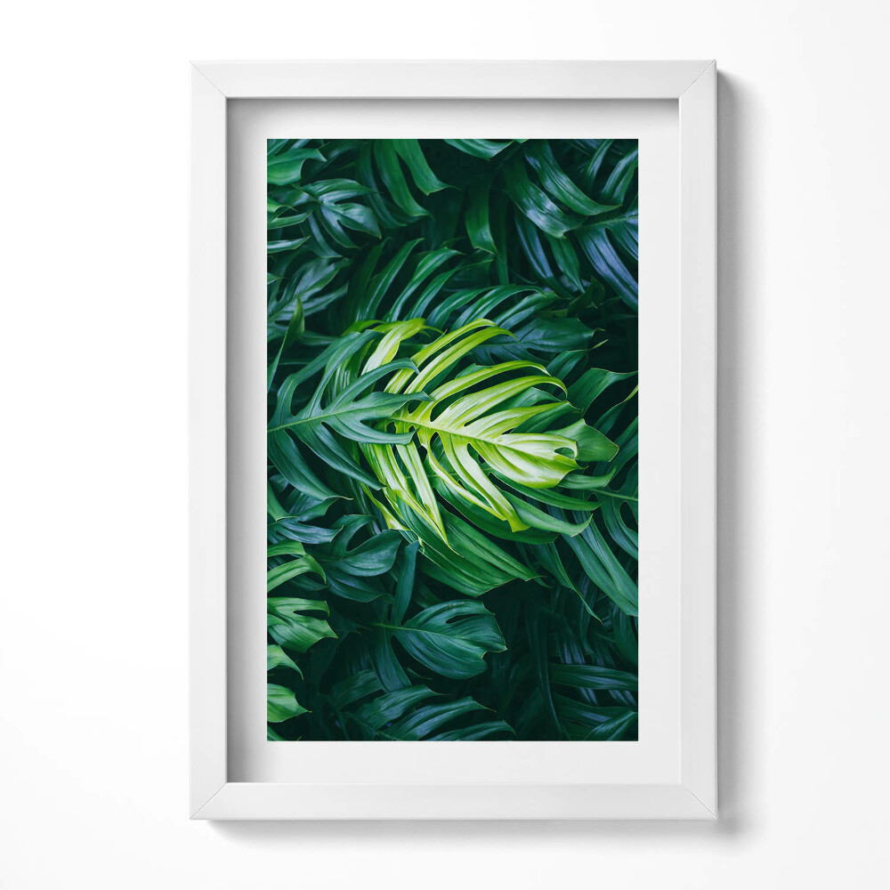 Obraz w ramie Dzikie liście monstery