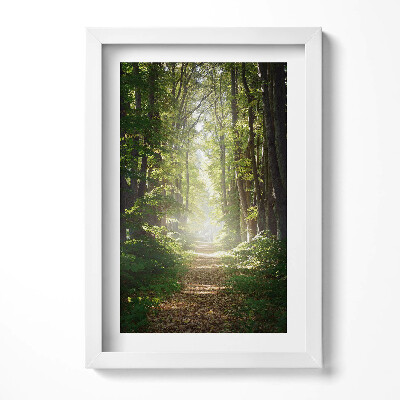 Obraz w ramie Leśna droga wśród drzew