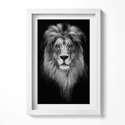 Obraz w ramie Głowa lwa dzikiego kota