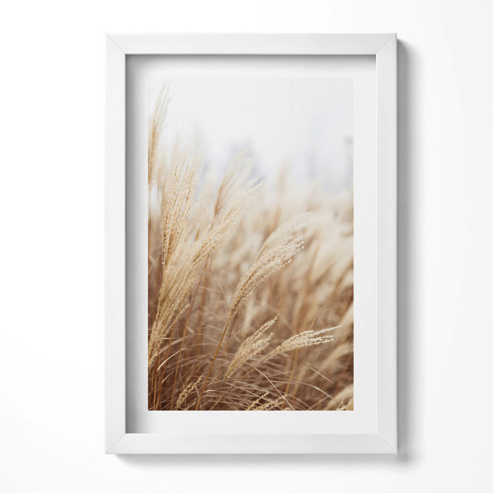 Obraz w ramie Natura boho trawy zboża