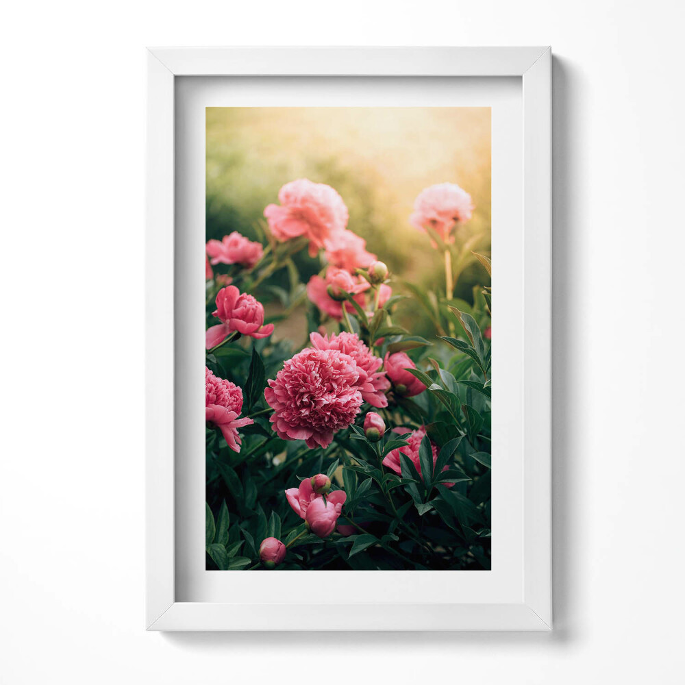 Obraz w ramie Różowe kwiaty na łące