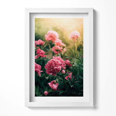 Obraz w ramie Różowe kwiaty na łące