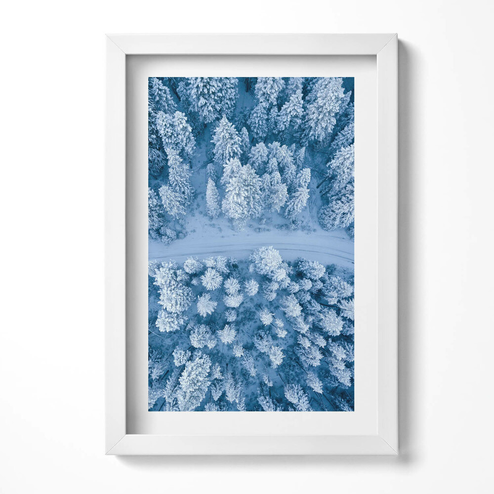 Obraz w ramie Las z lotu ptaka Dron