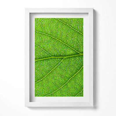 Obraz w ramie Żyłki zielonego liścia
