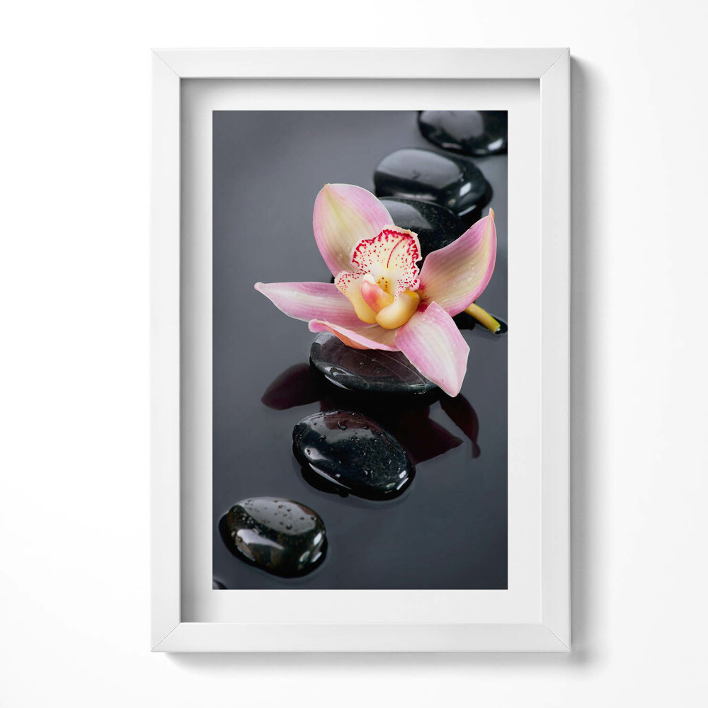 Obraz w ramie Kwiat na kamieniach w wodzie