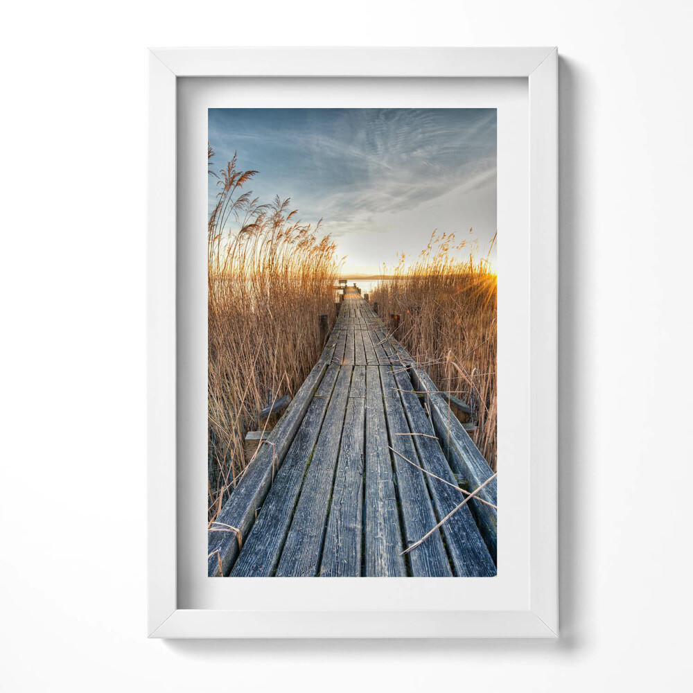 Obraz w ramie Drewniana droga wśród trwa