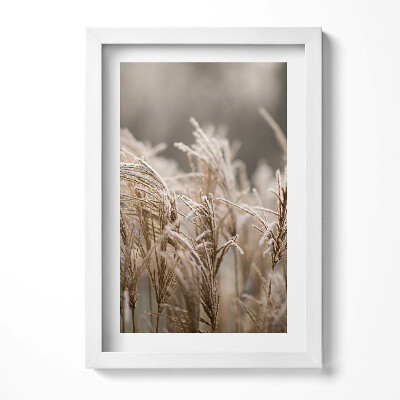 Obraz w ramie Boho delikatne trawy
