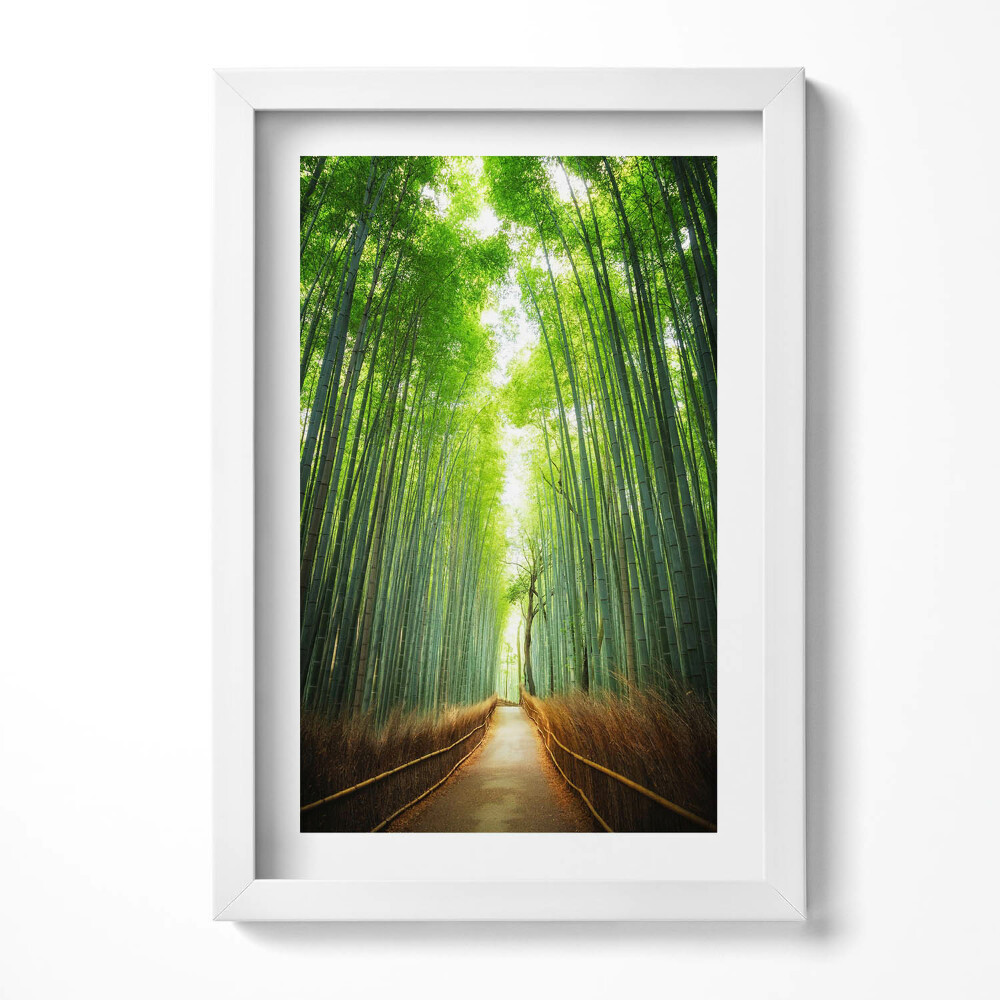 Obraz w ramie Las bambusowy Arashiyama Kioto Japonia