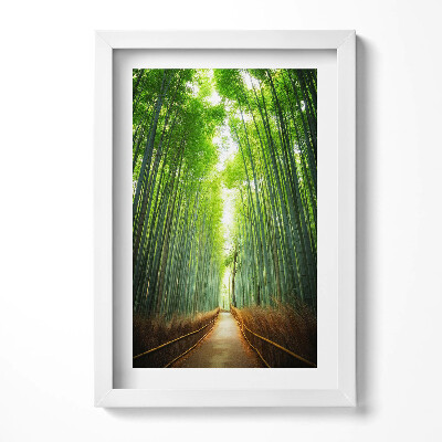 Obraz w ramie Las bambusowy Arashiyama Kioto Japonia