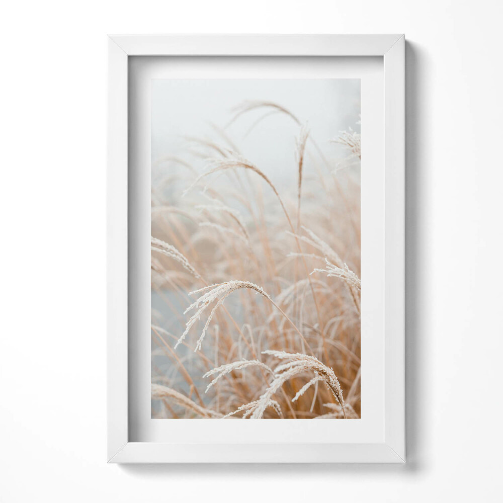 Obraz w ramie Delikatne trawy w stylu boho