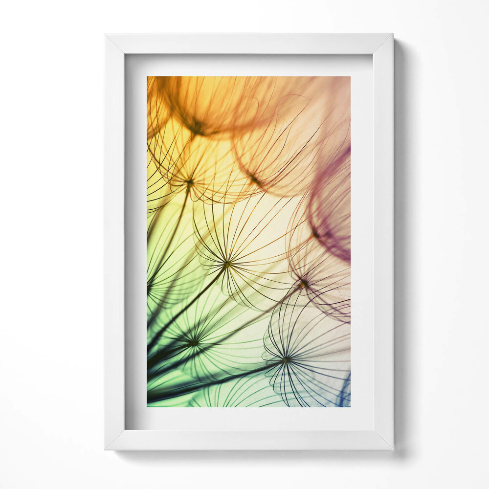 Obraz w ramie Delikatne pyłki dmuchawca