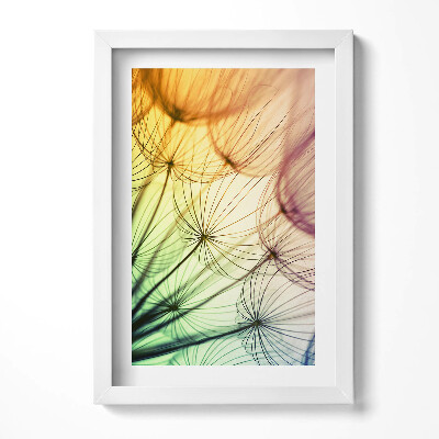 Obraz w ramie Delikatne pyłki dmuchawca