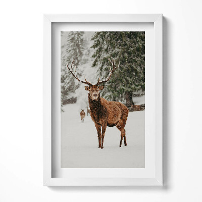 Obraz w ramie Jeleń w zimowym lesie